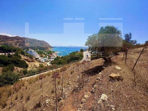 Een prachtig perceel van 1548 vierkante meter te koop op Kreta, gelegen aan de rand van het pittoreske dorpje Agia Galini. Met een royale bouwvergunning van 415 vierkante meter biedt deze woning een unieke kans om uw droomhuis te creëren in een boeie...