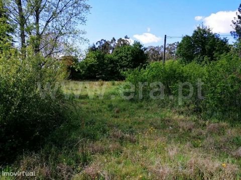 Land for construction with 1,300 m2 in Golães Excellent urban land near the city. With an area of 1,300 m2, it has feasibility of building a uniifamilar villa. It has an excellent sun exposure which makes it very sunny, since it has a solar orientati...