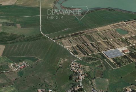 CASTIGLIONE DEL LAGO (PG), Porto: Building plot of 4630 sqm with approved project for the construction of a small villa of about 120 sqm with possibility of extension. The current project envisages a double garage in the basement and a house on the g...