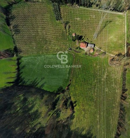 LAZIO VITERBO SORIANO IN CIMINO AGRICULTURAL COMPANY WITH RESIDENCE Productive agricultural company, with residential property, located in an agricultural context and at the same time close to the urban centre. The property extends over comfortable a...