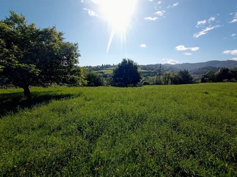 FINCA FOR SALE, SANTA MARINA DE CUCLILLOS AREA OF 2,500 SQUARE METERS FOR ONLY €25,000. Not buildable, according to the current PGOU of Siero. Pending the approval of the new PGOU in which it could perhaps become buildable. The plot is completely fla...