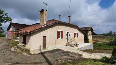 photo no. 1