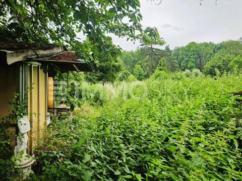 +++ Bitte haben Sie Verständnis, dass wir nur Anfragen mit VOLLSTÄNDIGEN persönlichen Angaben (komplette Anschrift, Rufnummer und E-Mail) beantworten werden! +++ Willkommen in Ihrem neuen Haus mit einem großen Grundstück! Dieses freistehende Einfamil...