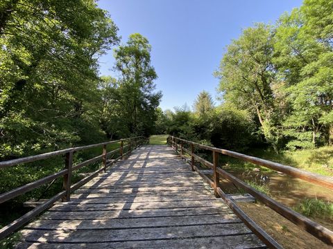 photo no. 5