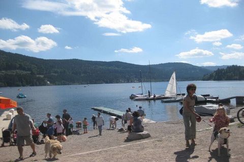 Die Ferienwohnung liegt fußläufig zum Bahnhof, Bäcker und Supermarkt direkt an Wanderwegen (3 Seen-Wanderung u.a.) mit wunderschöner Aussicht. Bei einer Buchung erhalten Sie als kostenlose Serviceleistung die Hochschwarzwald Card von uns für den gebu...