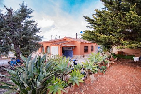 Landhuis in Benissa, op een vlak perceel van 2.640 m2, met fruitbomen en ongeveer 2 km van het stadscentrum en alle voorzieningen en 11 km van de stranden. Rustige omgeving. Panoramisch uitzicht op de berg Bernia. De woning heeft één verdieping en be...