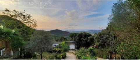 This is a great single storey house on a large plot with stunning views over the valley and the sea. It just needs some tenderness, love and care. When you enter your plot you will see that it is a one in a million chance that you will find something...