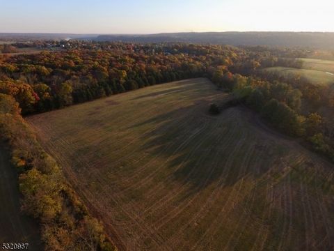 Just one hour from NYC and tucked away down a mile-long driveway between the thriving river towns of Frenchtown and Milford, this 65+ acre property is truly the most special and unique real estate offering in Hunterdon County right now. Comprised of ...