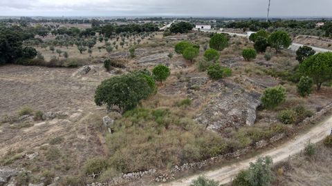 Alpalhão Lapa do Cordeiro Rustikales Grundstück mit 13000m², bestehend aus Ackerbau (Kiefern, Olivenbäume) und granitischen Felsvorsprüngen. Es besteht aus 2 Grundstücken (in einem einzigen Sparbuch), die von der IP2 in der Nähe des Zugangs zu Alpalh...