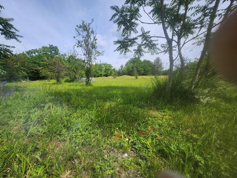 A VENDRE - 37190 AZAY LE RIDEAU, à 5 minutes du centre ville et du Château Sylvie Richez vous propose ce terrain constructible de 5380 m² offrant un potentiel exceptionnel pour la réalisation de projets de construction. Niché dans un cadre paisible, ...