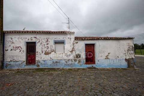 Moradia típica Alentejana T3 com quintal, situada na aldeia de Baleizão, concelho de Beja é uma aldeia muito bonita e calma e que demonstra o belo baixo Alentejo. Constituída por um hall de entrada, uma sala, três quartos, uma cozinha, uma casa banho...