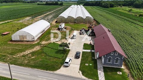 Location: Virovitičko-podravska županija, Pitomača, Pitomača. VIROVITICA, PITOMAČA - A spacious property for vegetable production, with a house and additional plots for construction Pitomača is a municipality in northeastern Croatia, located in the V...