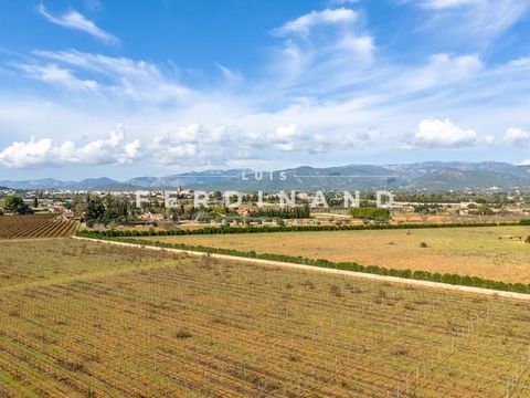 Projet de construction avec permis de construire - Une finca de rêve au milieu de ses propres vignes. Situation : Ce projet de construction est situé dans l'un des endroits les plus recherchés de Santa Maria del Camí, à seulement 2 minutes en voiture...