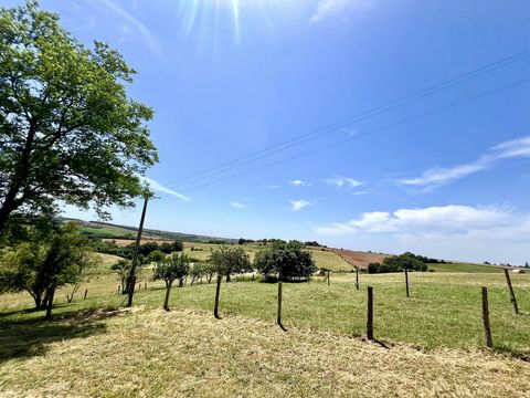 Découvrez un havre de paix à Villefranche-d'Albigeois : Une maison de campagne avec grand terrain et appartement Vous rêvez d'un bien immobilier alliant espace, potentiel et cadre idyllique ? Cette propriété unique est faite pour vous. Située à seule...