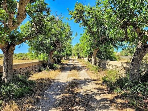 ~Descubre la maravilla de vivir en un lugar donde MENORCA ES UN PARAÍSO CERCANO. A poca distancia del encantador pueblo de Alaior, esta propiedad única te espera. Una magnífica casa de campo en Alaior, zona Alrededores, con 660 m² construidos para vi...