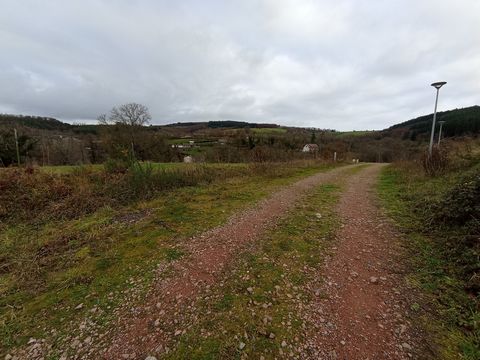 photo no. 12