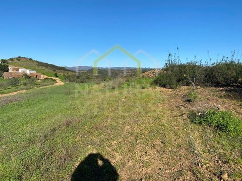 Grundstück mit Leichter Neigung, 10 Minuten von Tavira Rustikales Grundstück mit 2.411m², gelegen in einer ruhigen Gegend von großer natürlicher Schönheit, mit einem 360º-Panoramablick auf die Serra. Mit einer sanften Neigung und Feigenbäumen ist die...