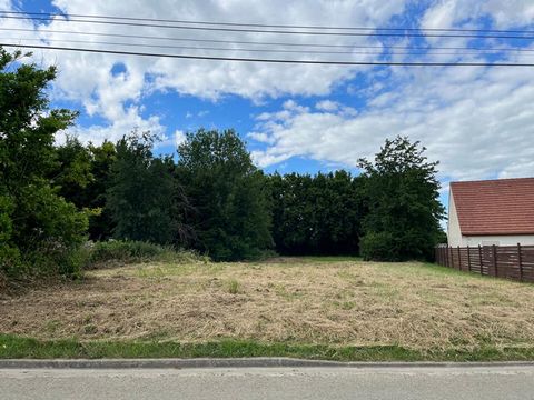 Cristina CASALINHO vous propose en EXCLUSIVITE ce magnifique terrain plat et rectangulaire: situé à Beaumont-en-Beine. 