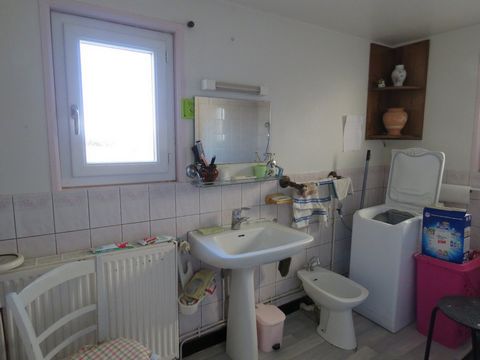 photo no. 6