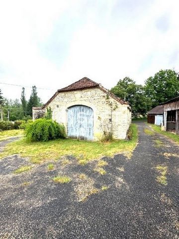 photo no. 10