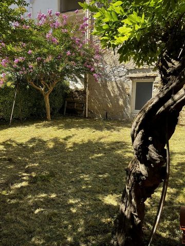 photo no. 12