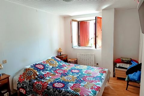 photo no. 12