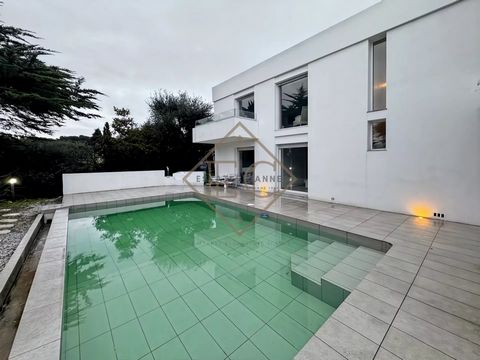 photo no. 12