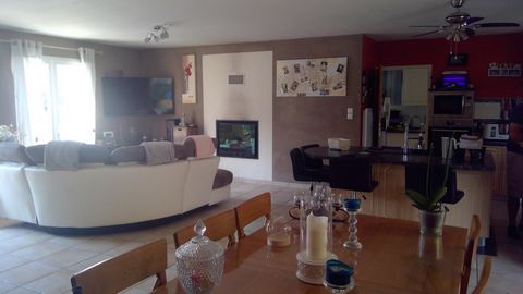 photo no. 8