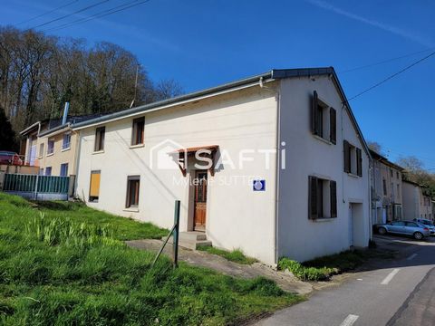 photo no. 5