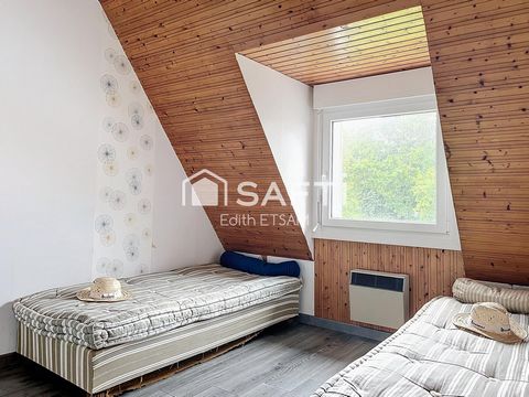 photo no. 14