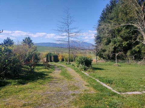 photo no. 13