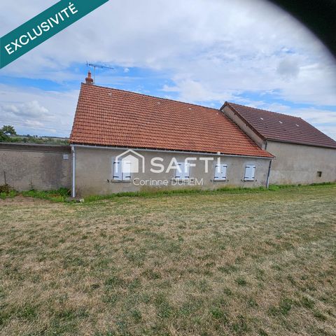 photo no. 6