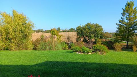 photo no. 12