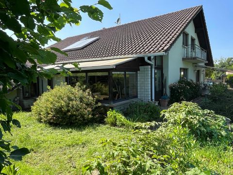 photo no. 10