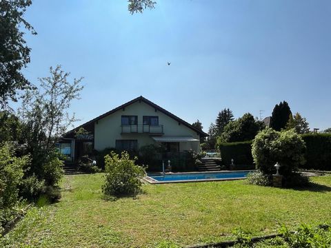 photo no. 12