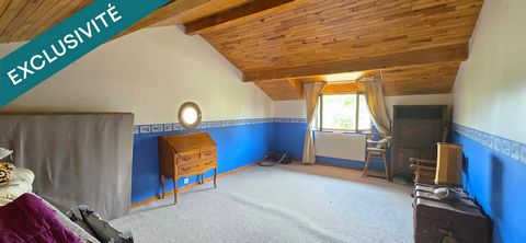 photo no. 4