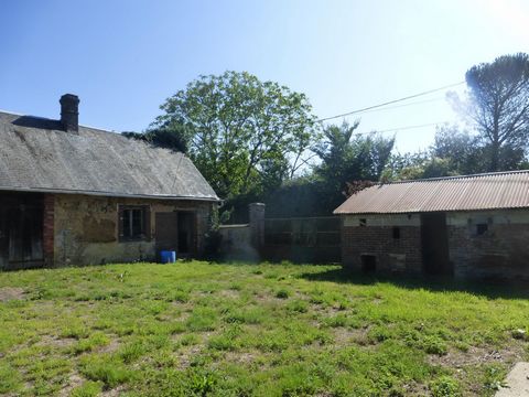 photo no. 12