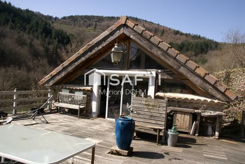 photo no. 2