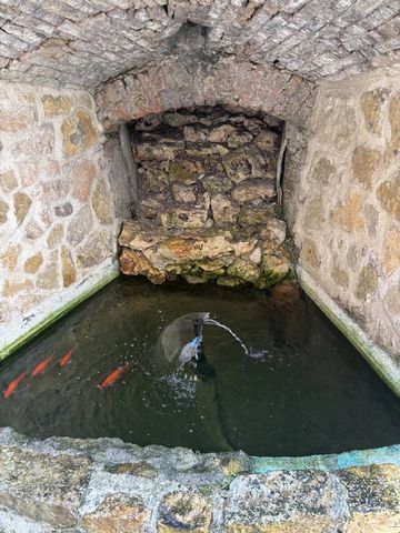 photo no. 14