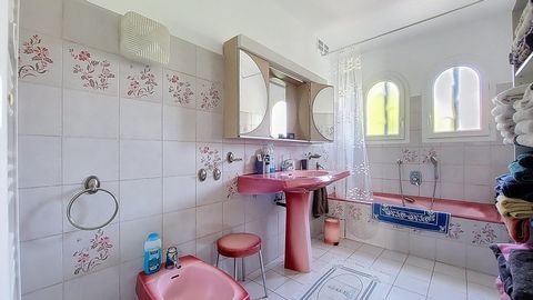 photo no. 6