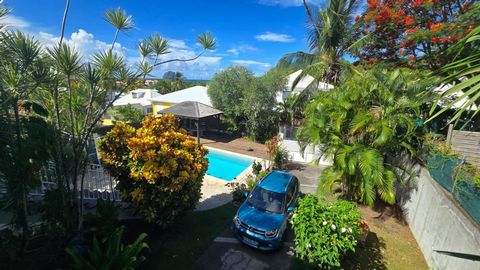 photo no. 16