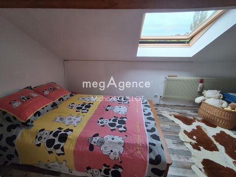 photo no. 15