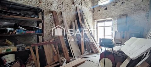 photo no. 6