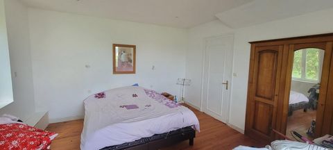 photo no. 10