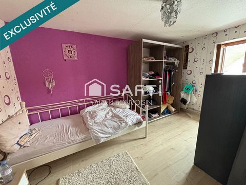 photo no. 6