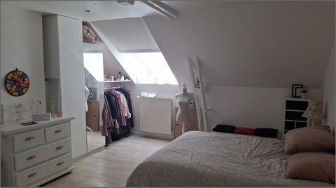 photo no. 11