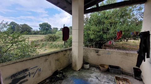 photo no. 15