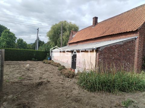 photo no. 5