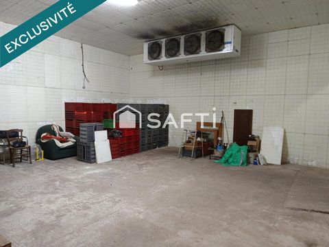 photo no. 15