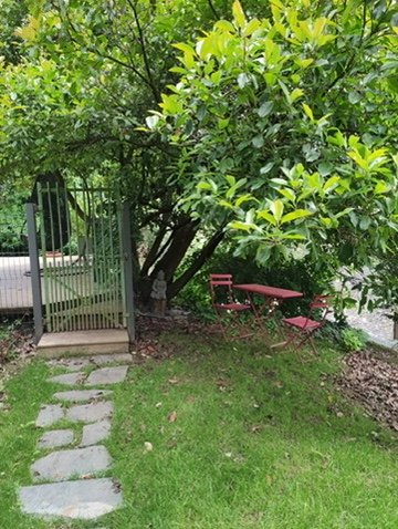photo no. 19